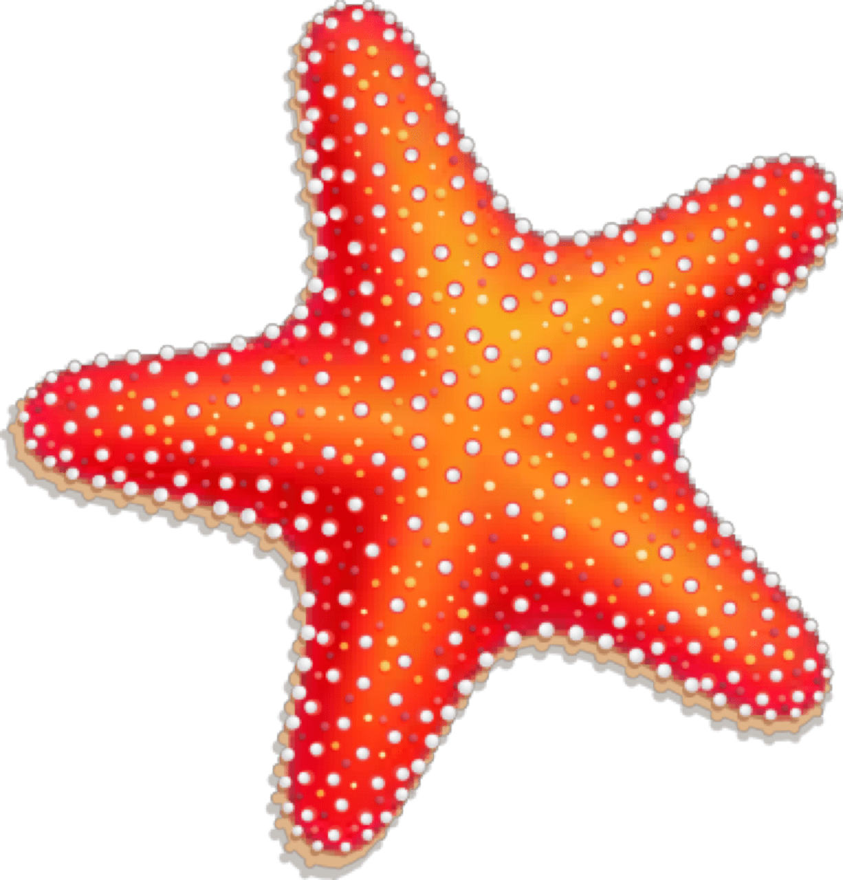 Starfish pin page clipart transparent