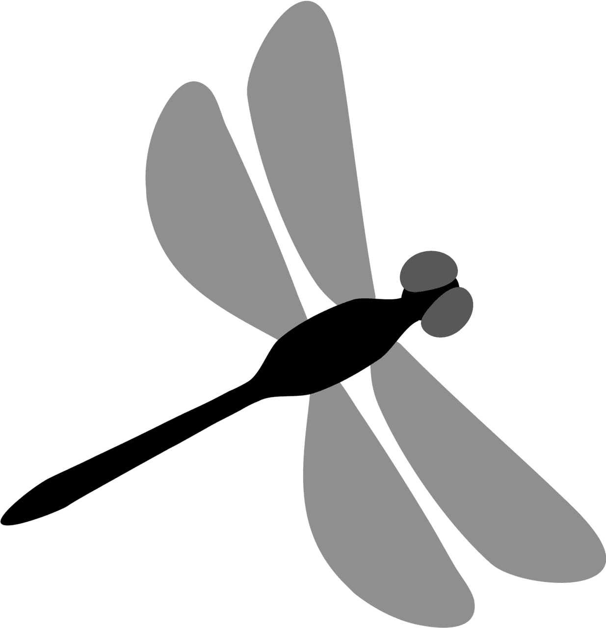 Animals black and white outline dragonfly insects clipart free