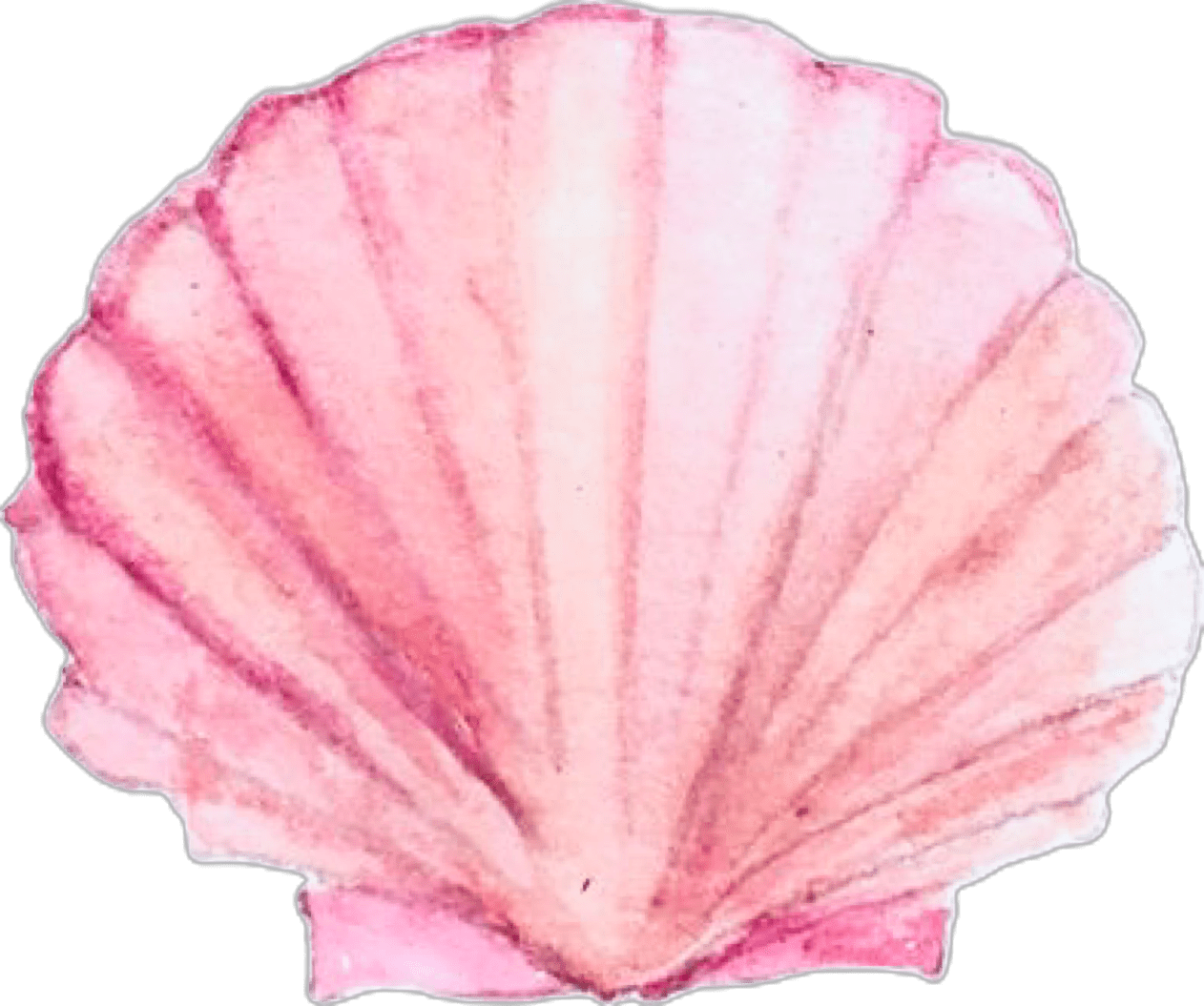 Seashell pin page clipart picture 2