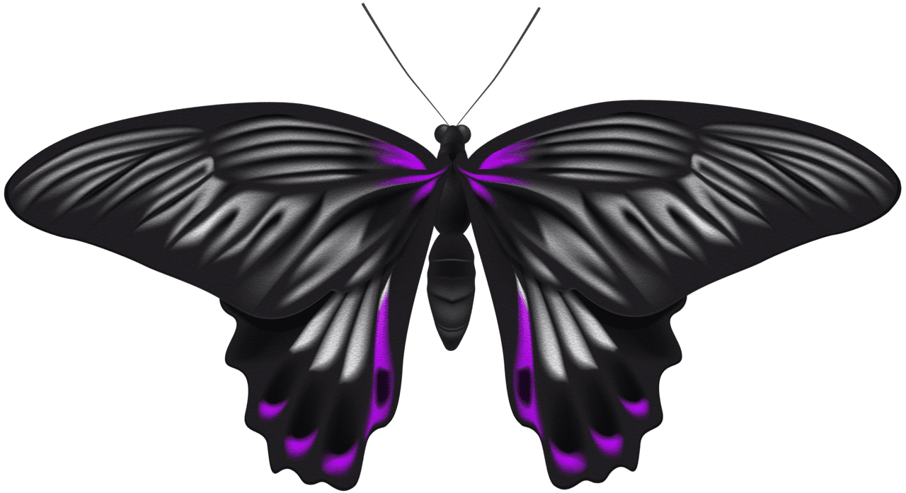 Butterfly black and white purple clipart image high quality images