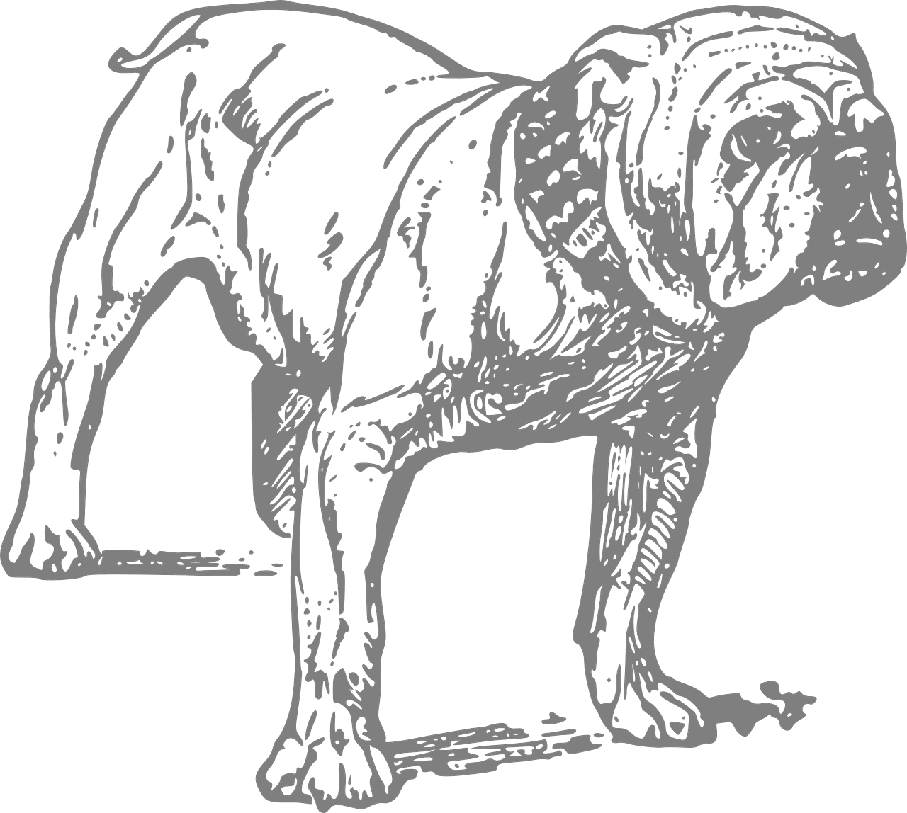 Bulldog dog can vector graphic clipart