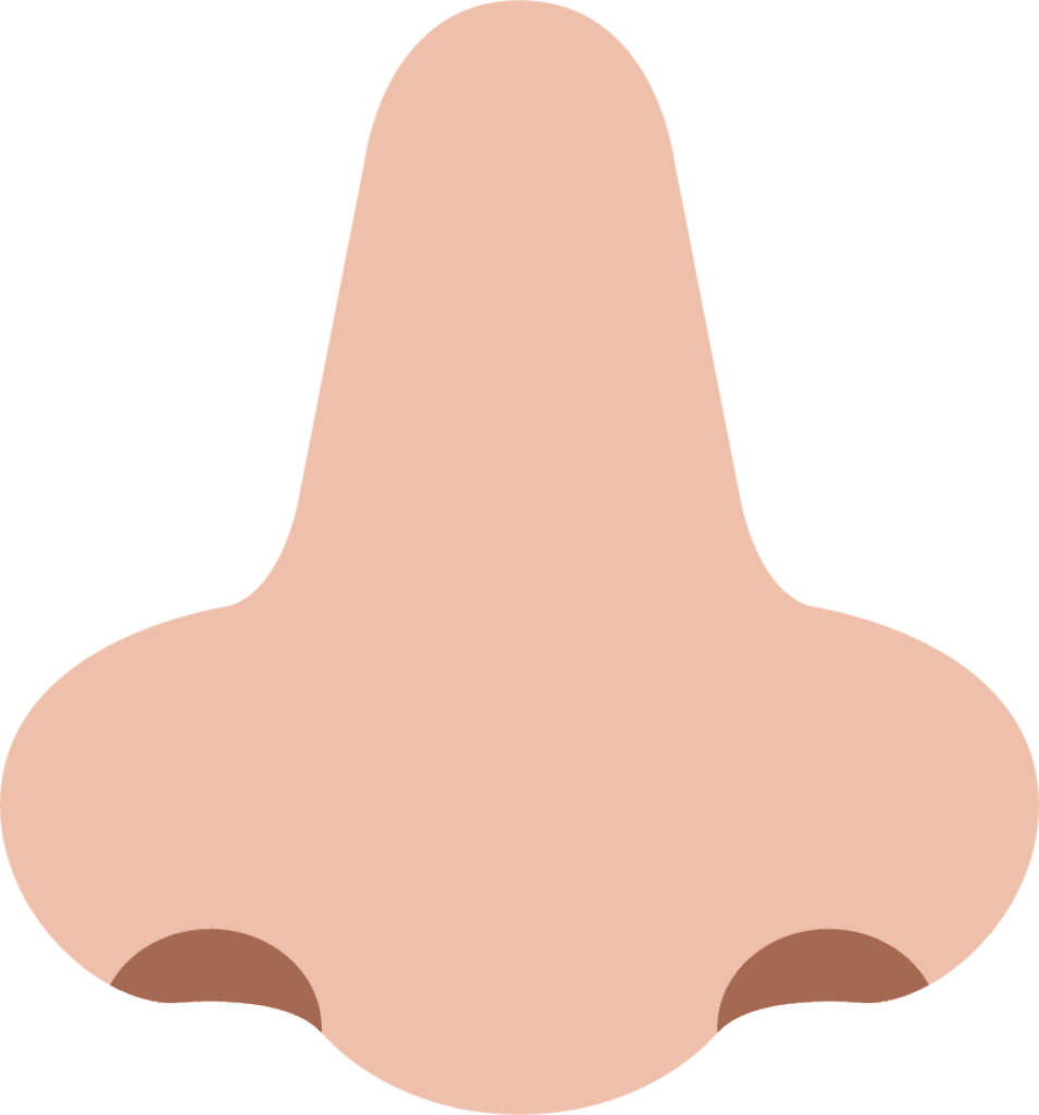 Nose medium light emoji for clipart photo