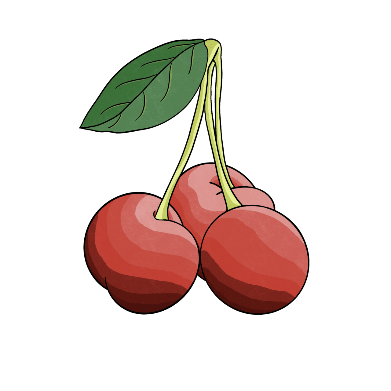 Cherry gradiant clipart vector