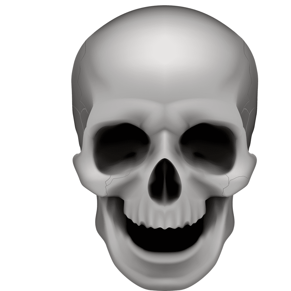 Skeleton halloween human skull images hd photo clipart