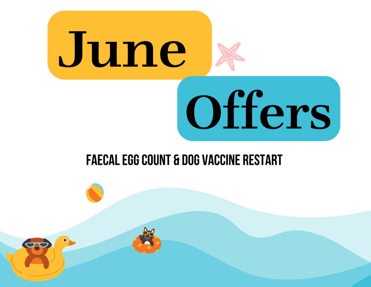 Offers for june cahir vets ltd clipart transparent