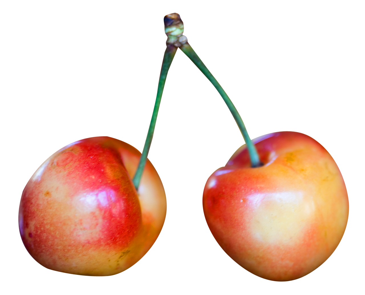 Cherry rainier cherries clipart background