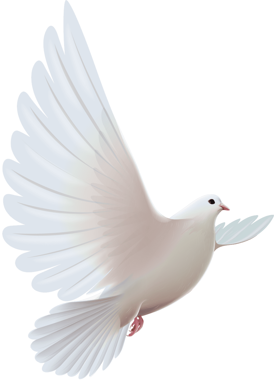 Dove pin page clipart logo