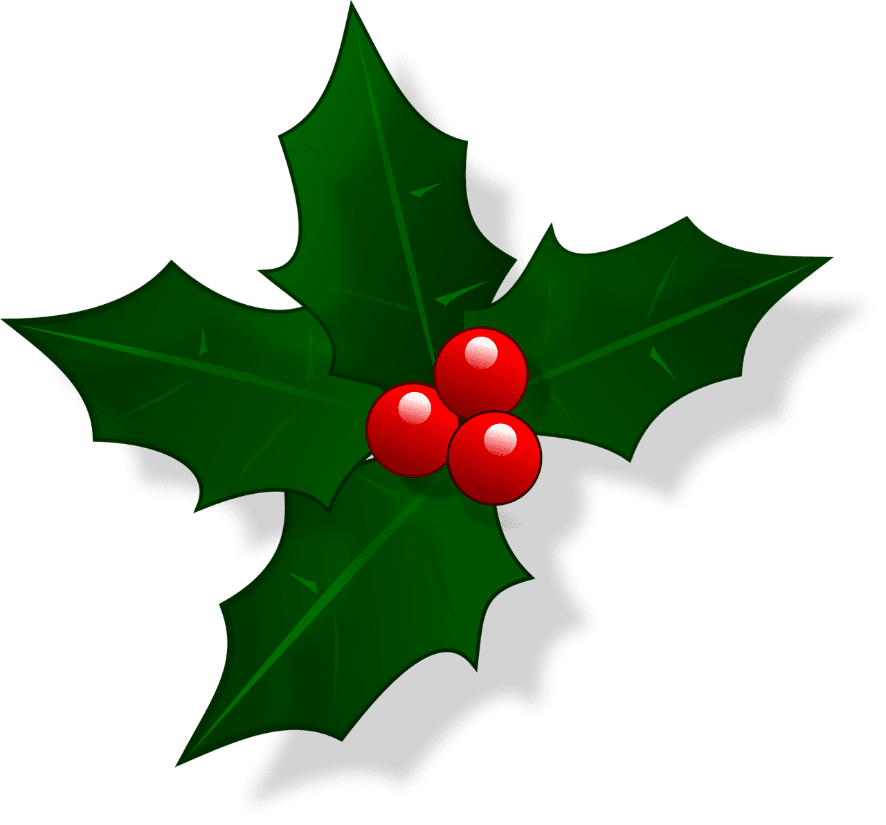 Holly images for christmas vector graphics pictures more clipart