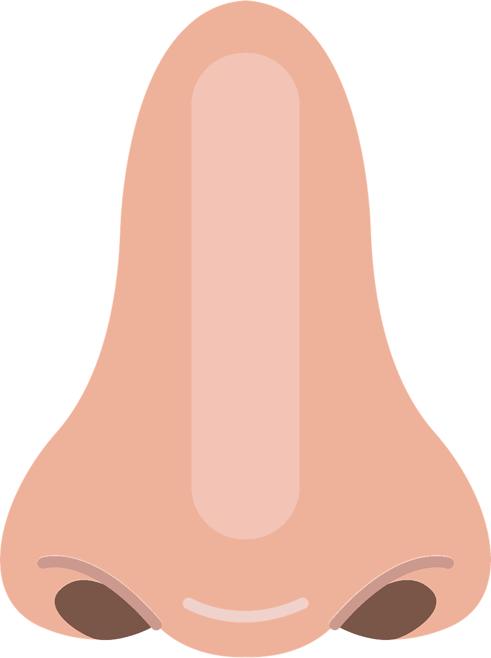 Nose smell clipart images 3