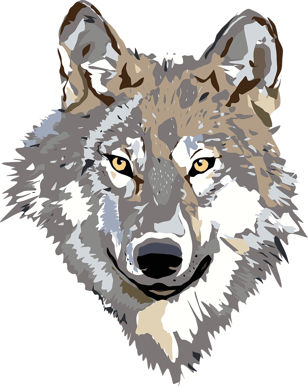 Wolf face nature vector graphic clipart