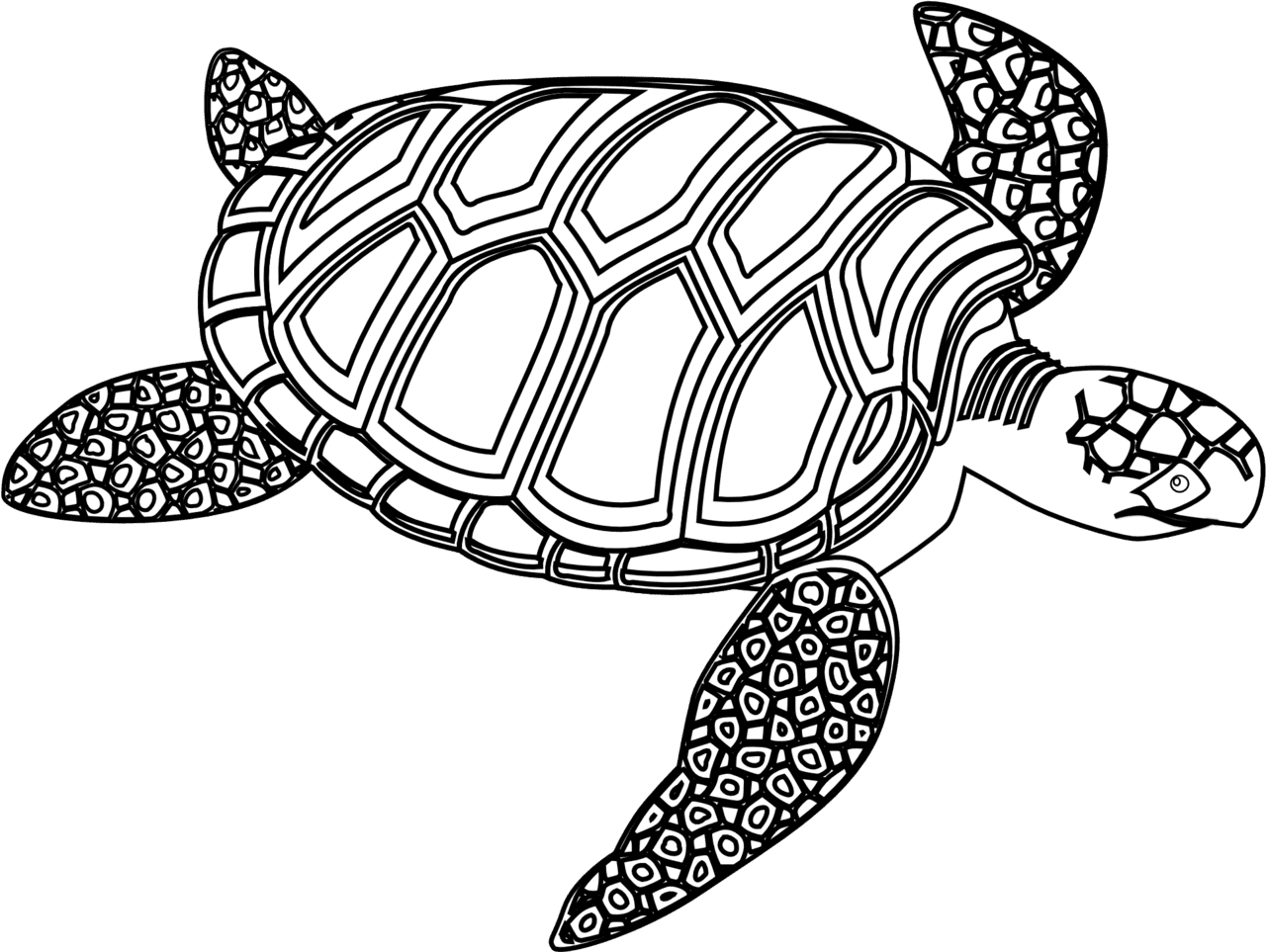 Sea turtle clipart black and white picture