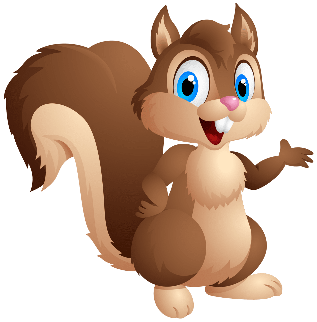 Squirrel clipart images