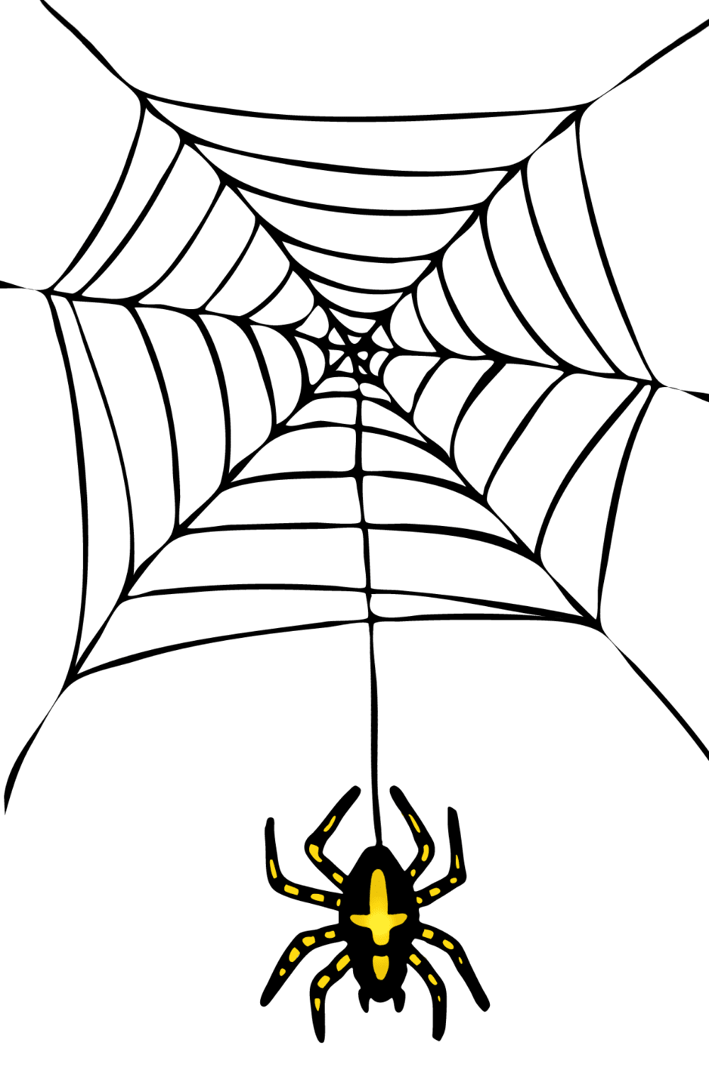 Spider halloween pictures images cliparts clipart library