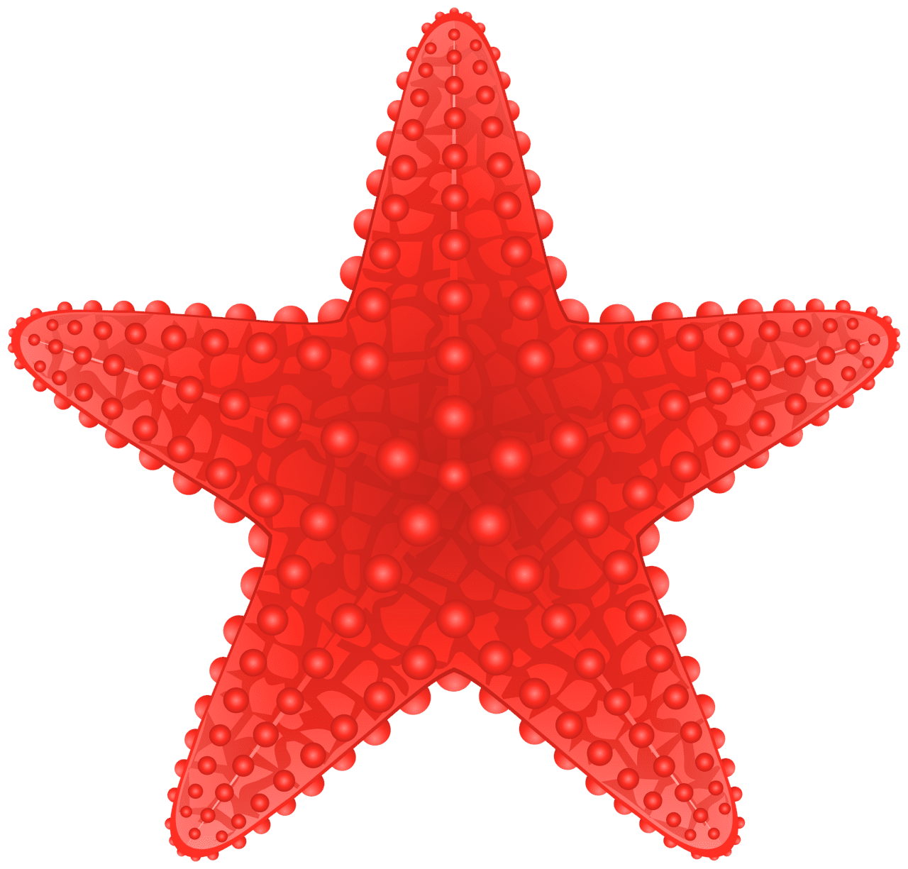 Starfish clipart image high quality images and