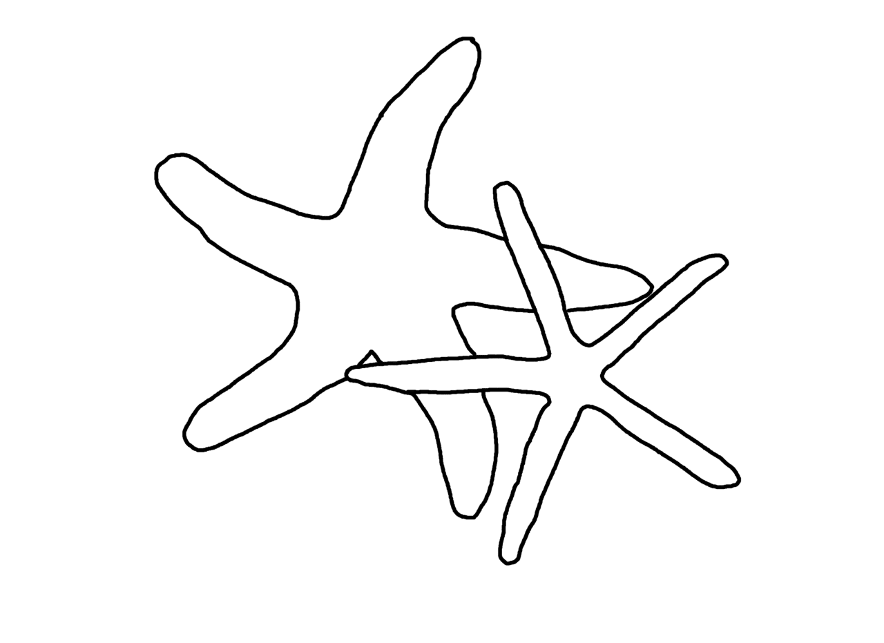 Starfish pin page clipart image