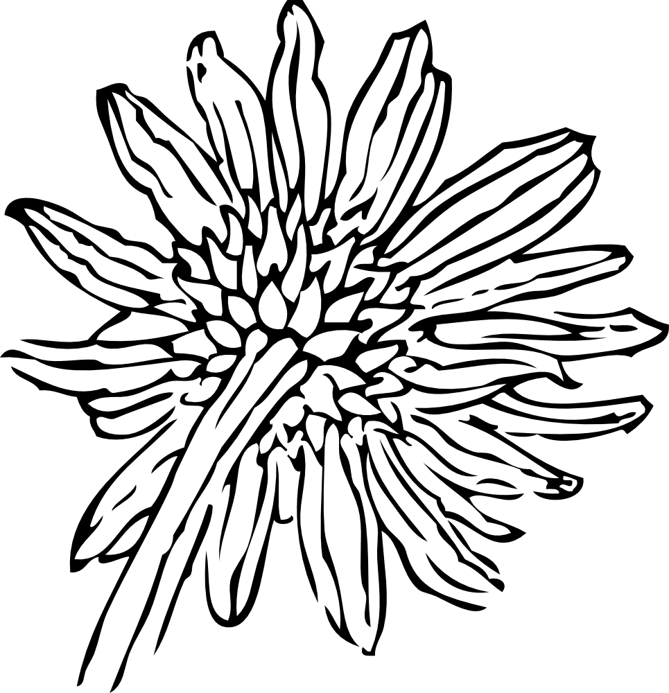 Flowers black and white linelabels clipart back of sunflower picture