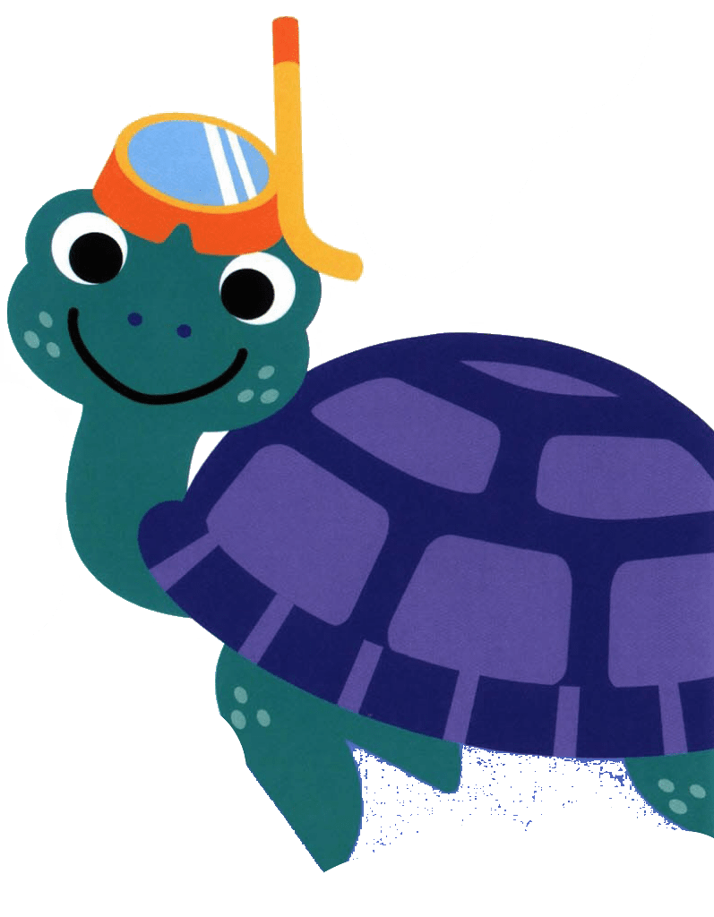 Sea turtle pin page clipart transparent 2