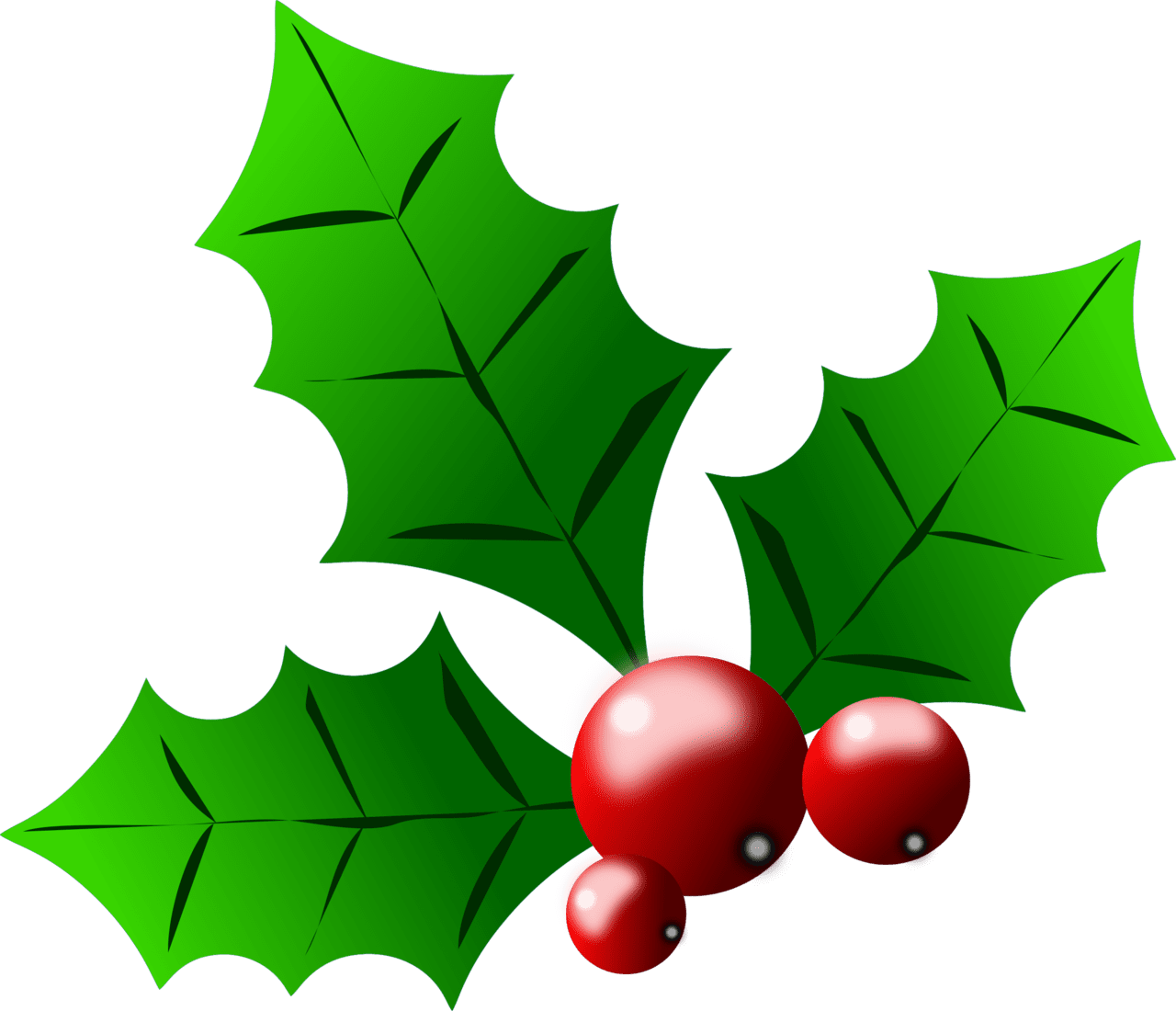 Holly berries clipart clip art