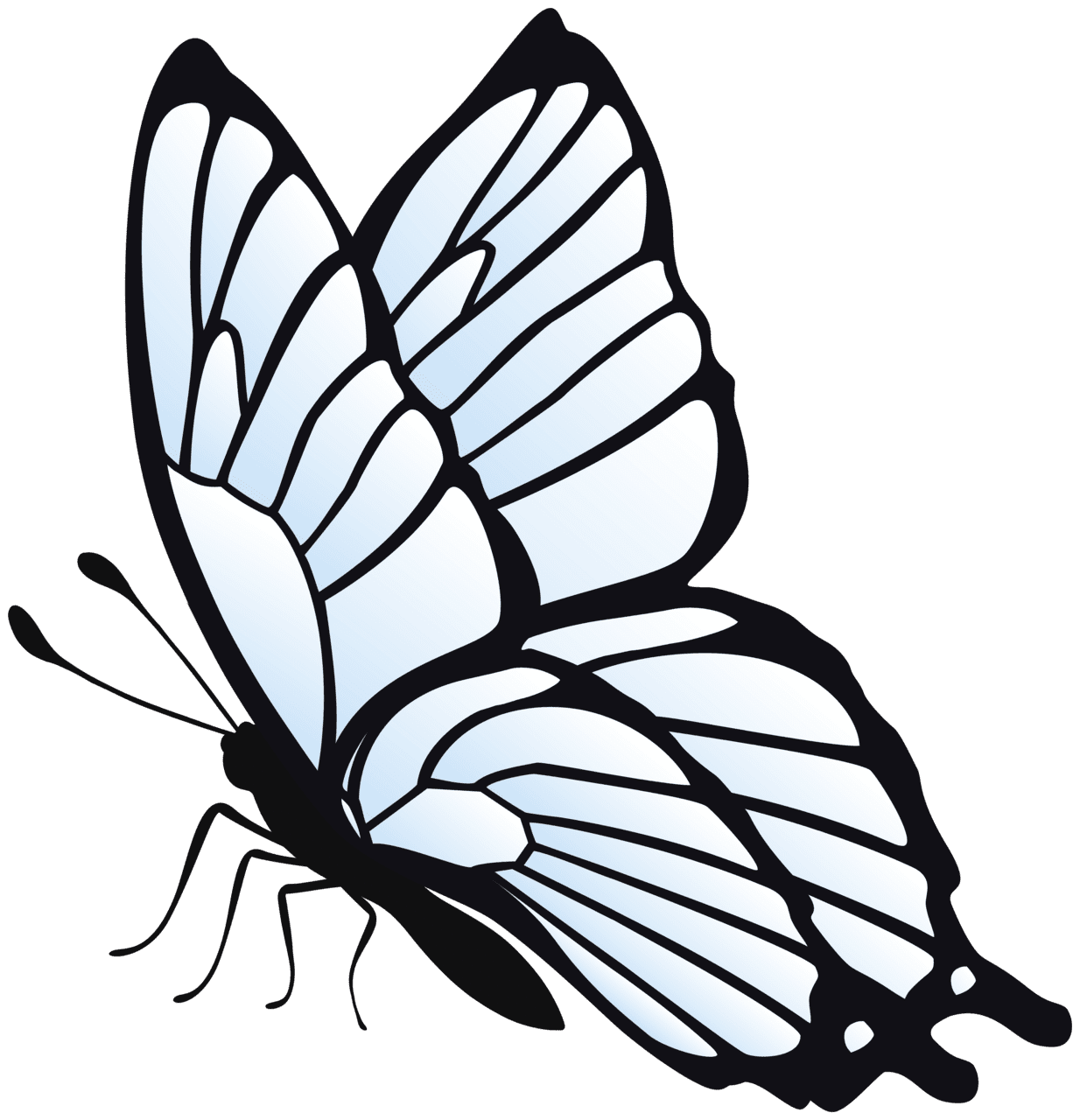 Butterfly black and white flying clipart high quality images