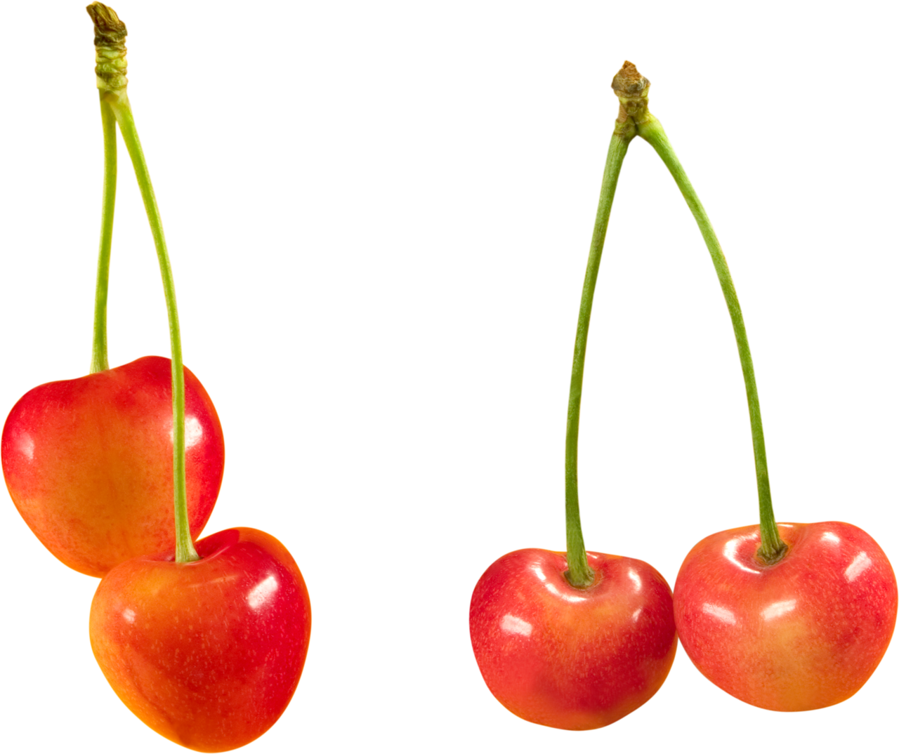 Cherry clipart transparent