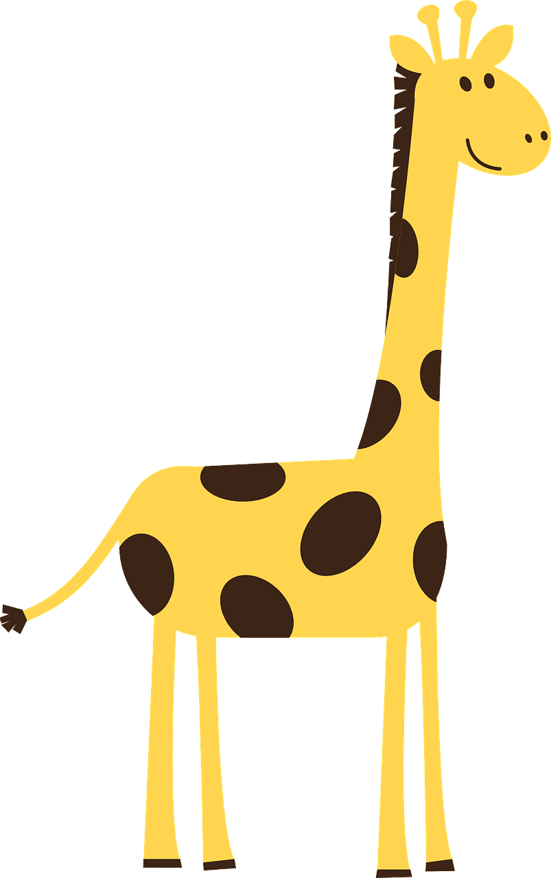 Zoo giraffe animal wild vector graphic clipart