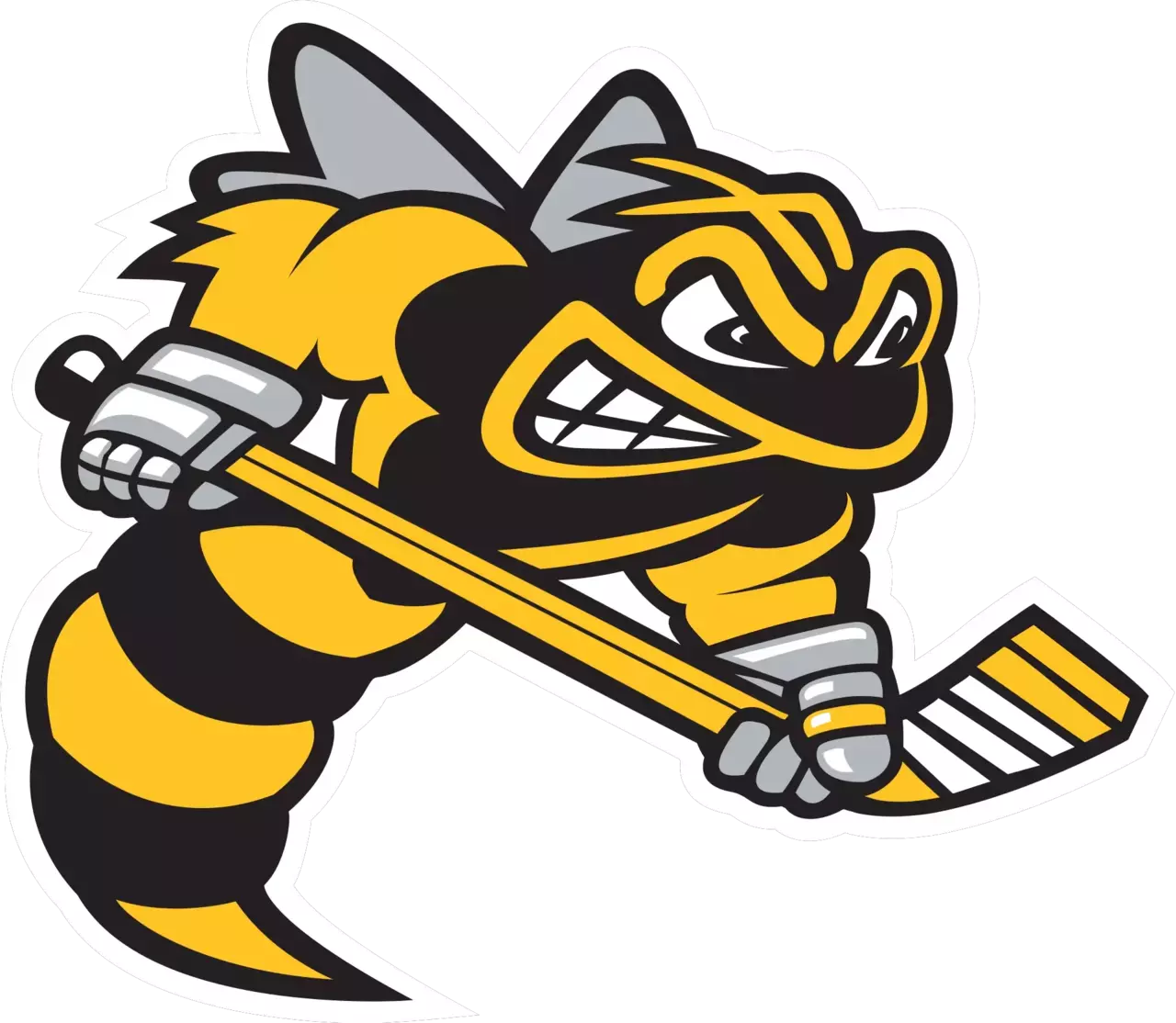 Hockey sarnia sting color codes clipart background