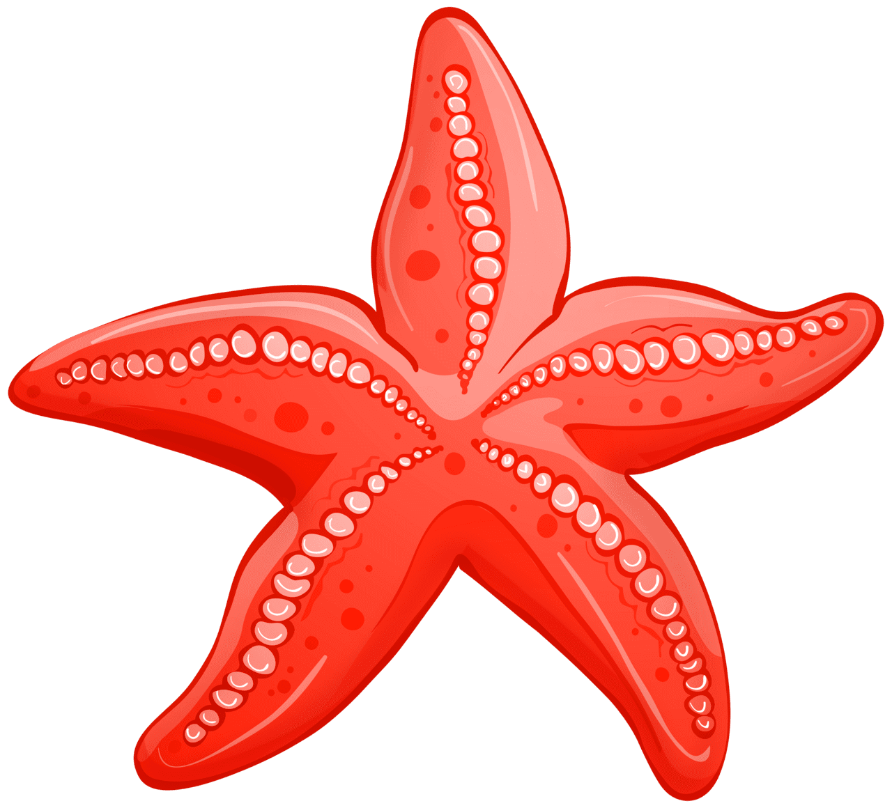 Red starfish clipart high quality images and