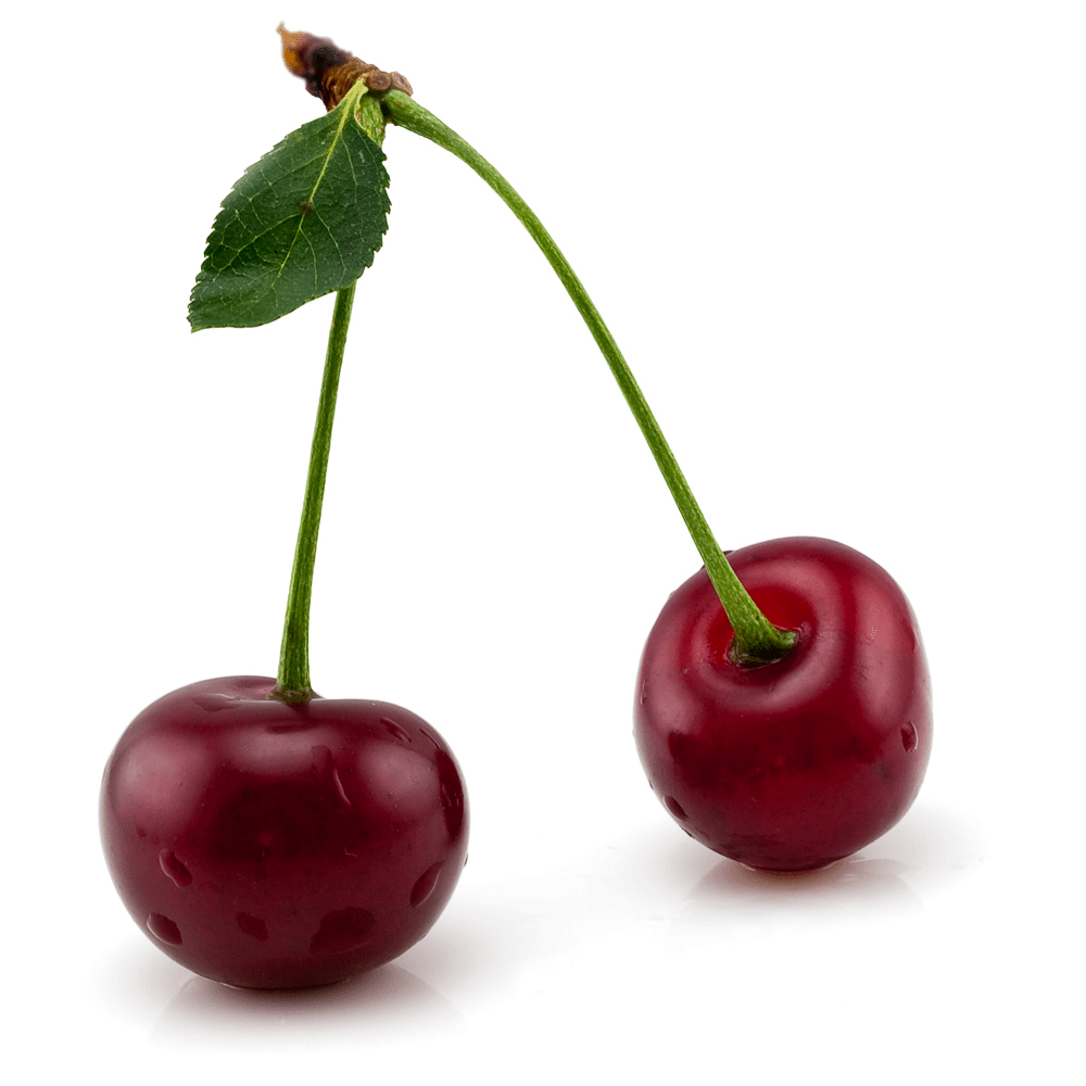Cherry clipart clip art