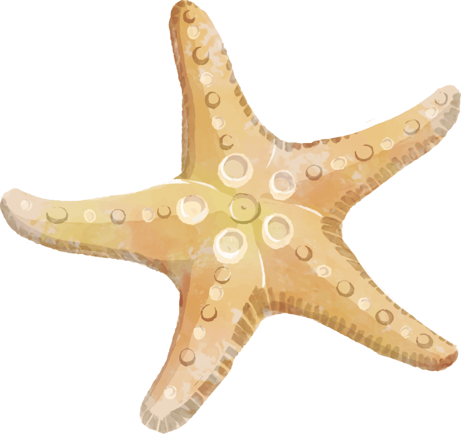 Starfish clipart play picture