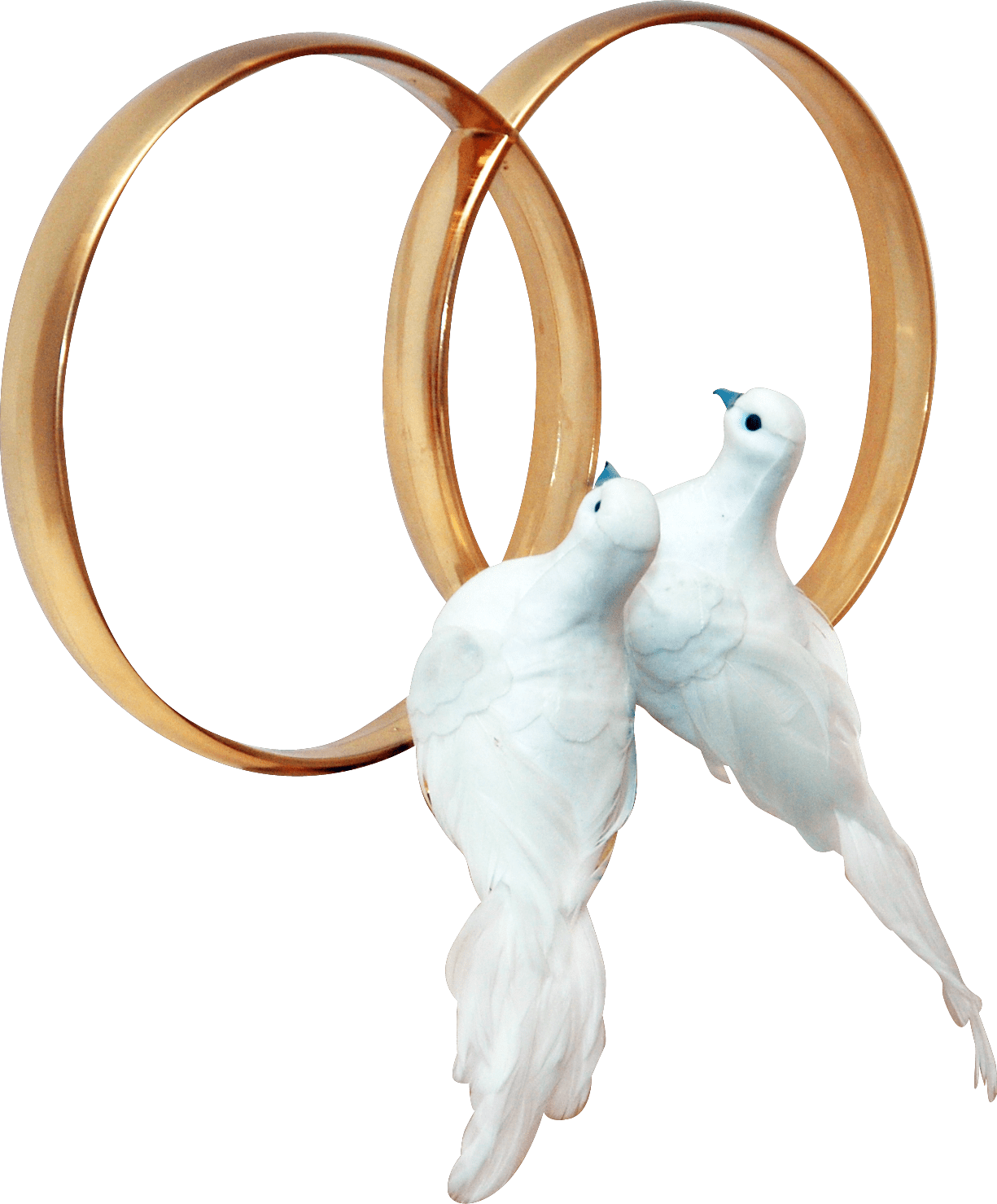 Dove pin page clipart picture