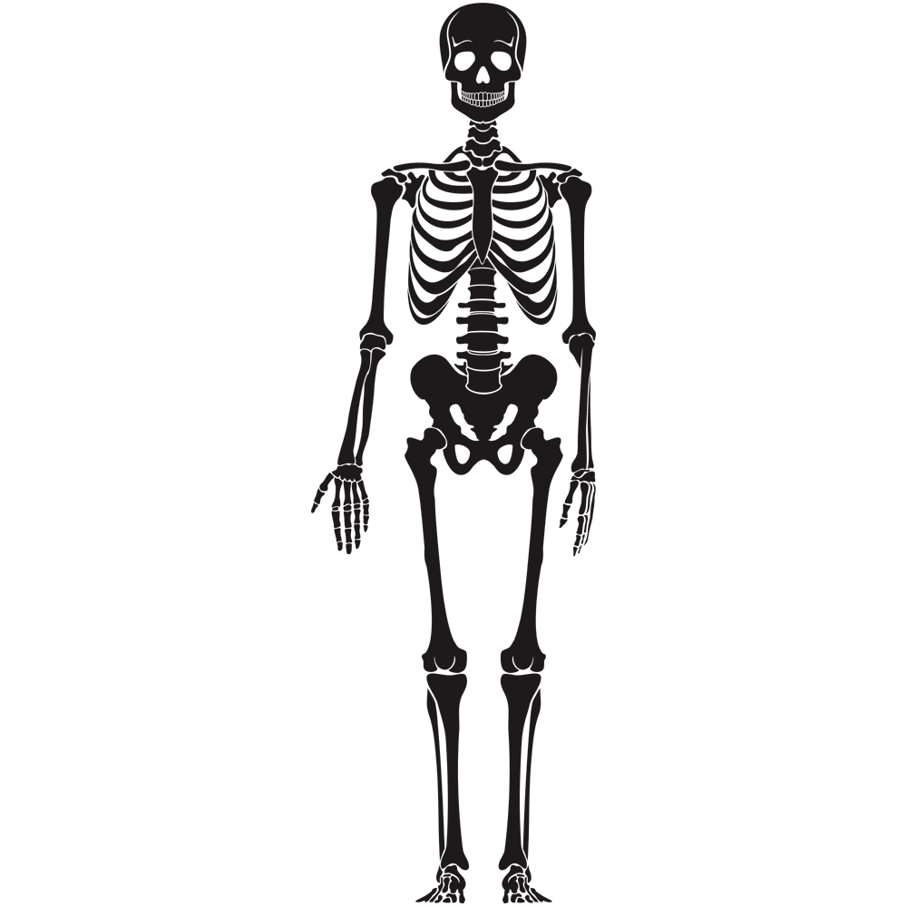 Halloween skeleton images hd photo clipart 2