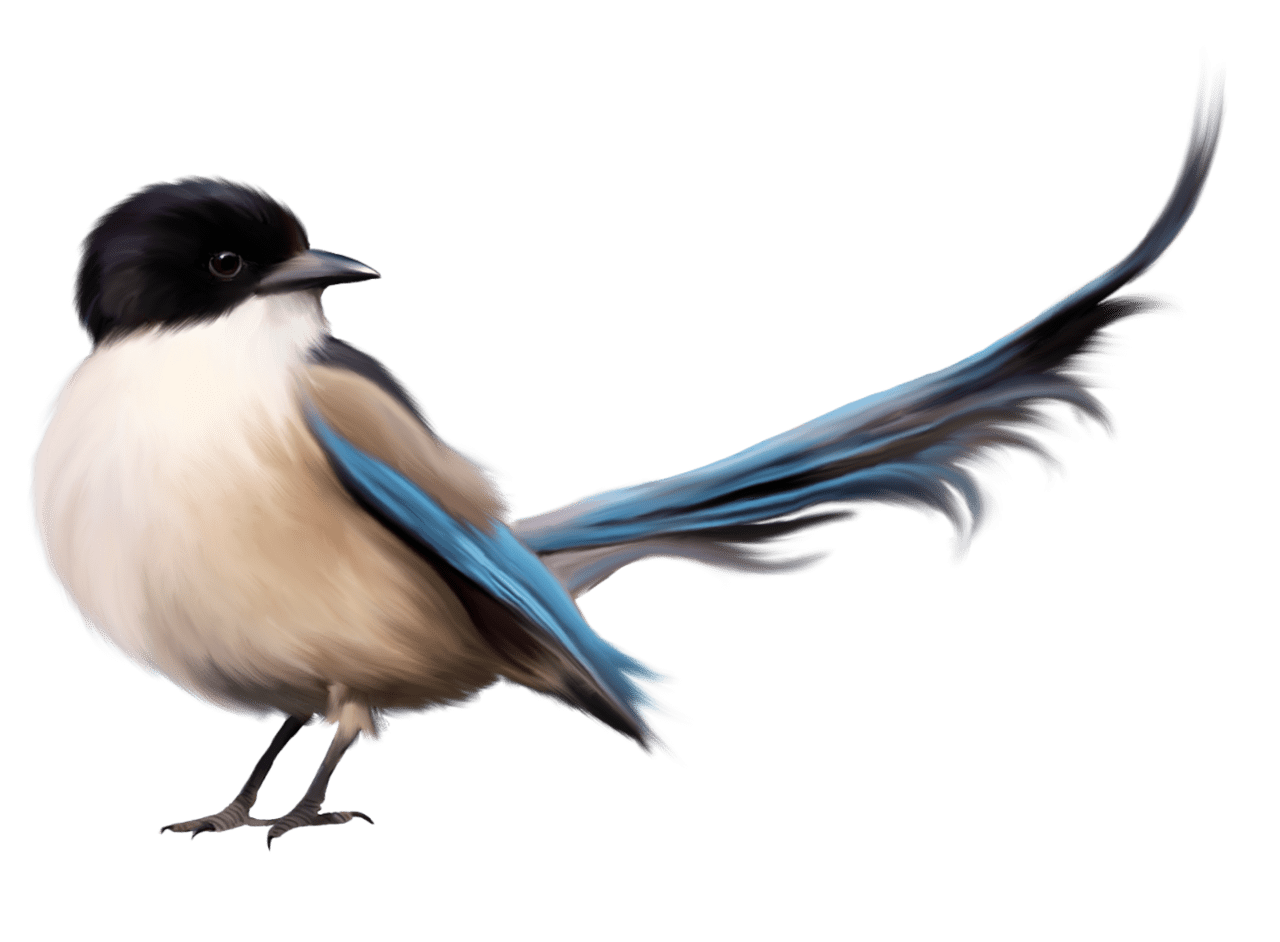 Dove bird with blue tail clipart picture