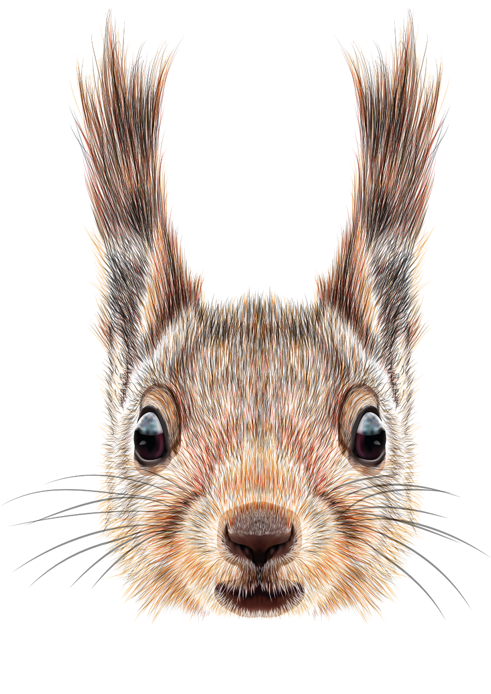 Squirrel clipart background 2