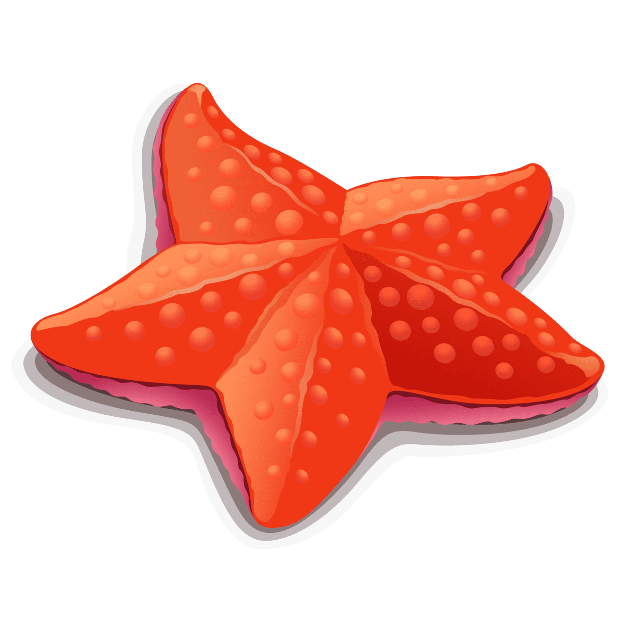 Starfish clipart transparent