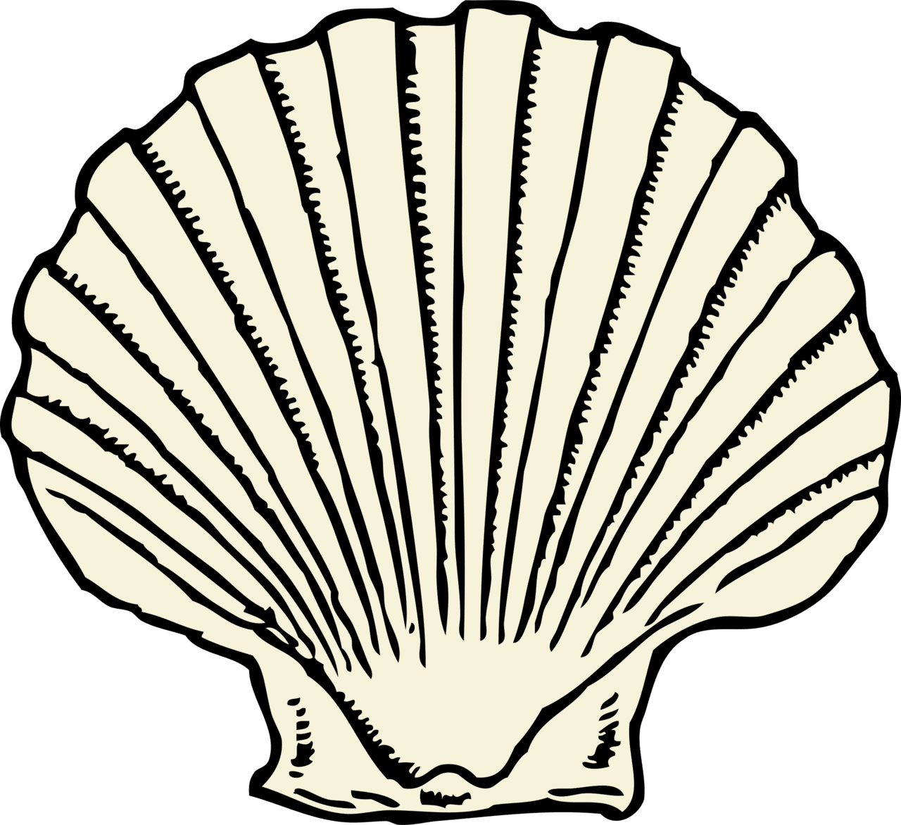 Seashell scallop shell clipart clip art