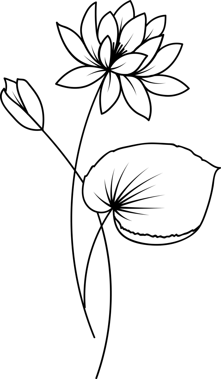 Flowers black and white pin page clipart photo 2