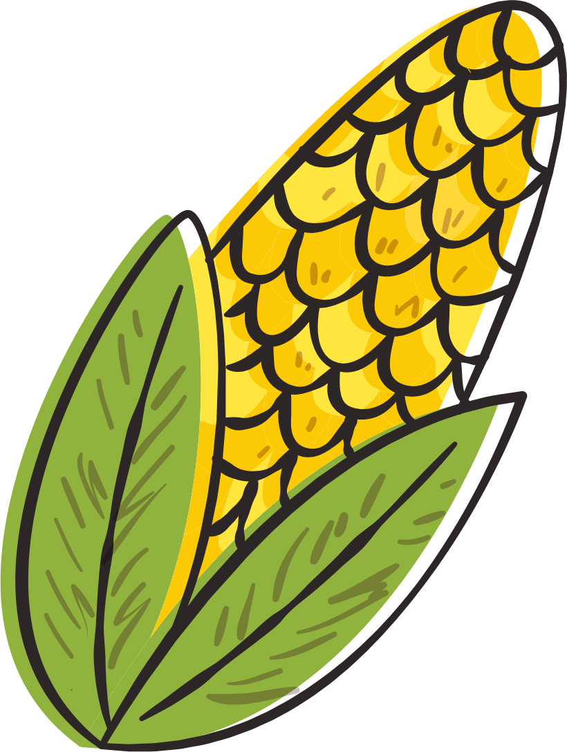 Corn festa junina clipart image