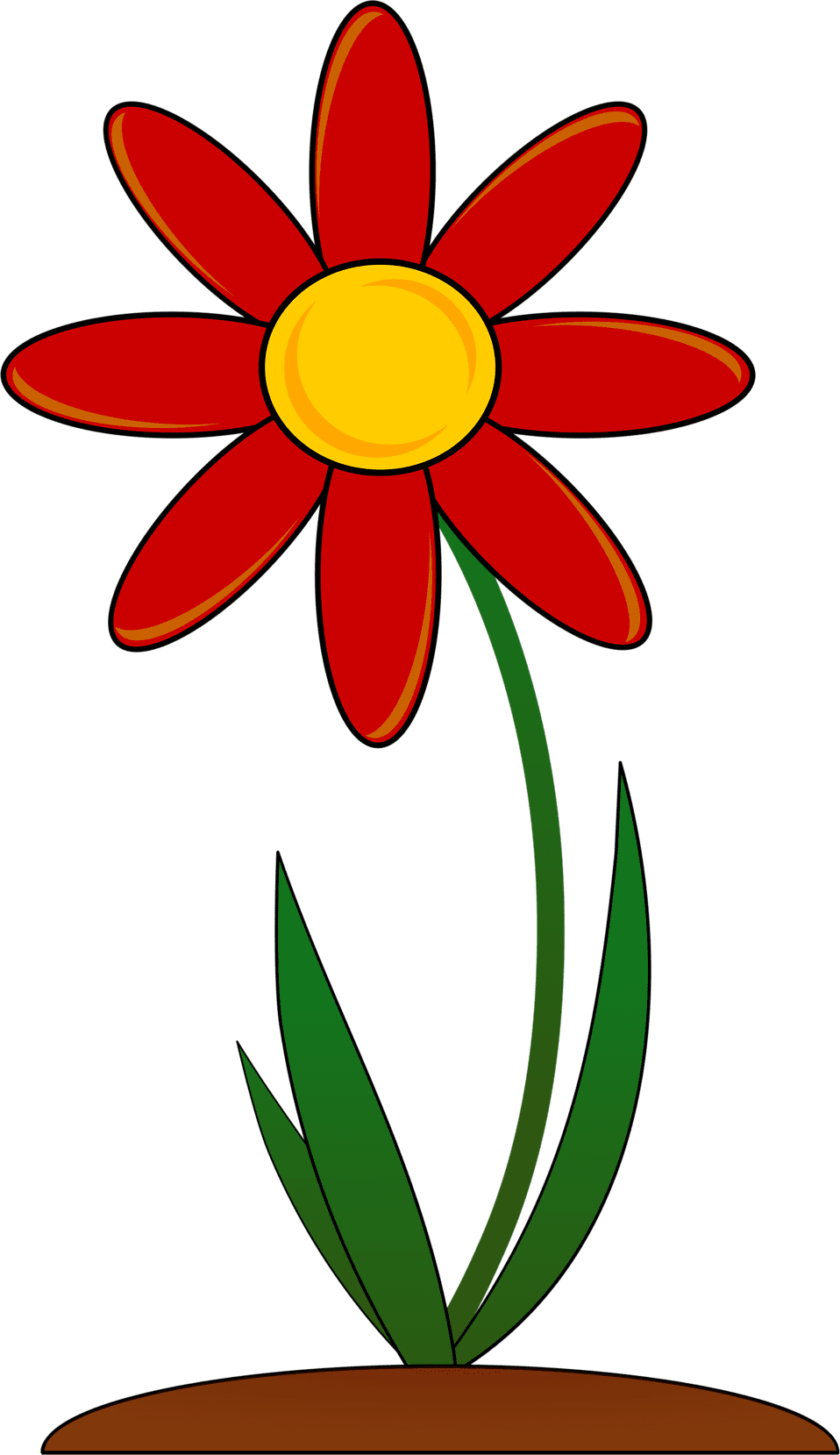 Spring flowers flower red photo of clipart