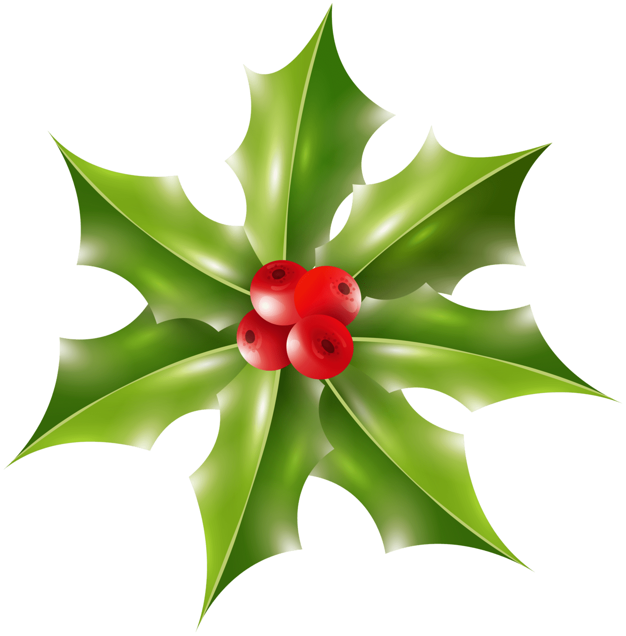 Xmas holly clipart image high quality images and