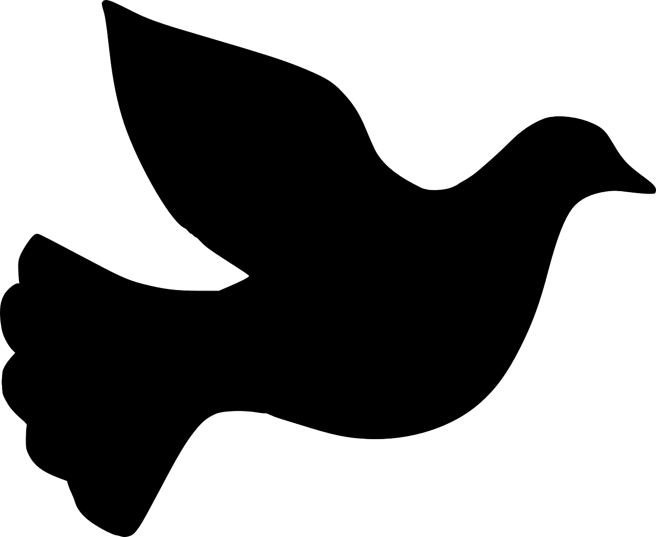 Dove nature pigeon vector graphic clipart