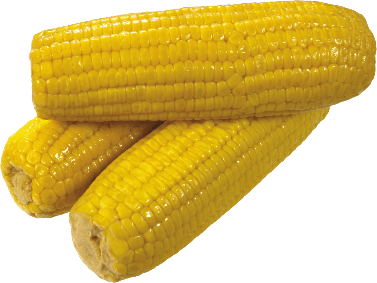 Corn image for clipart 4