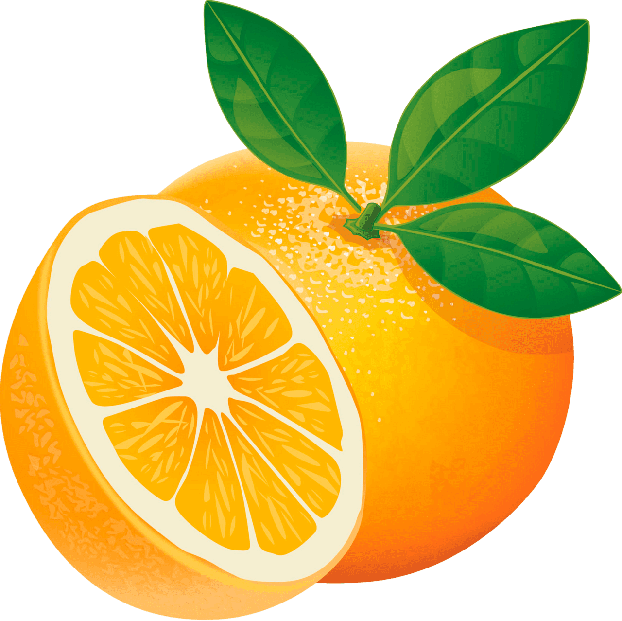 Fruit orange clipart transparent