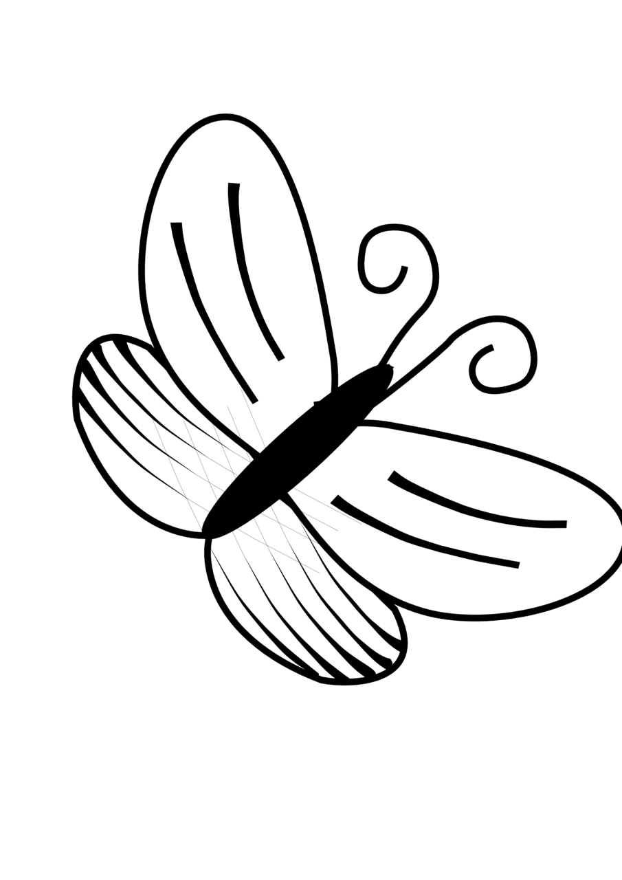 Butterfly black and white line drawings of butterflies clipart picture