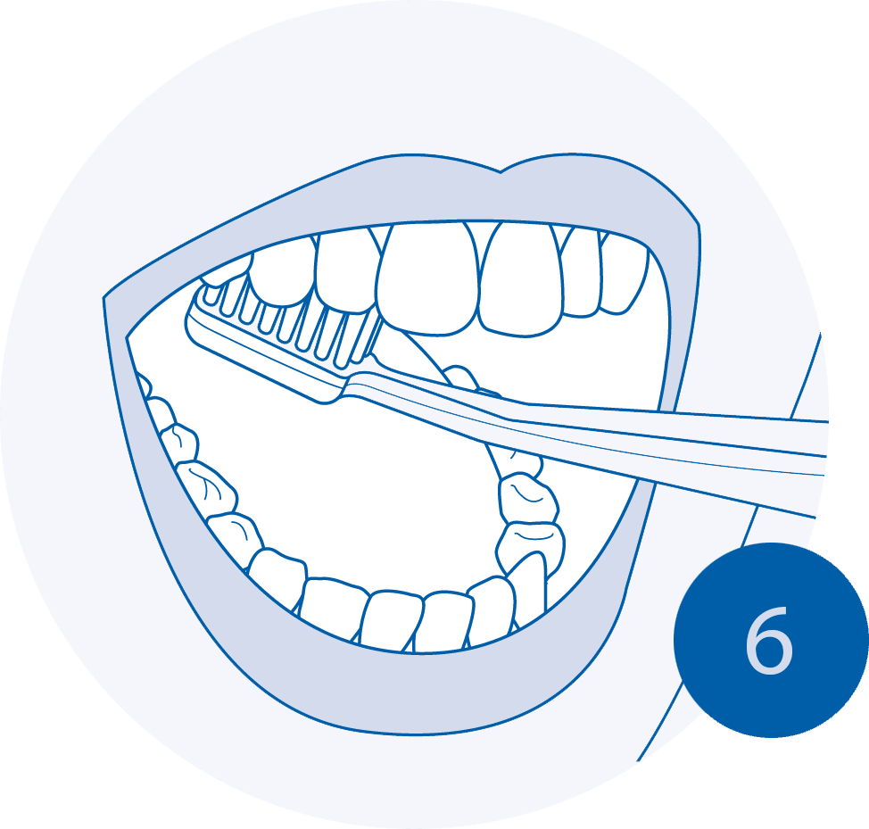 Brush teeth br hing correctly clipart clip art