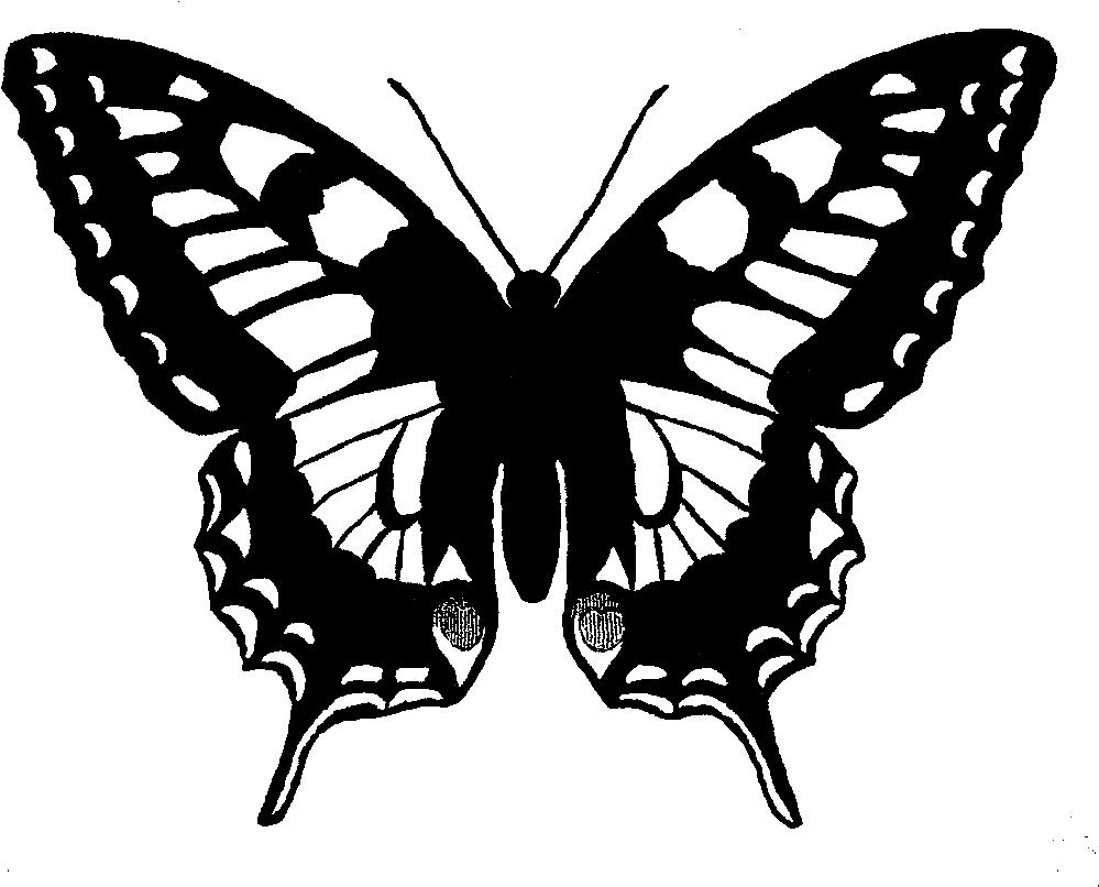 Butterfly black and white digital clipart swallowtail image with no background