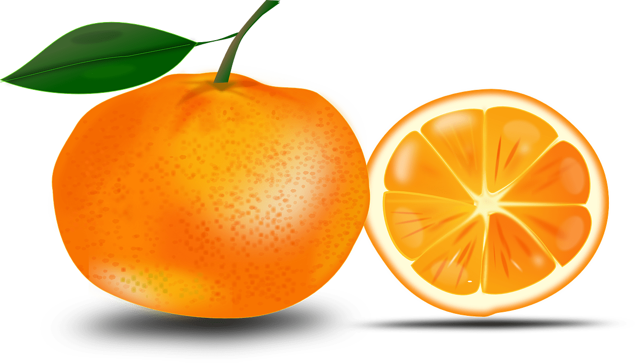 Orange fruit food vector graphic clipart 2