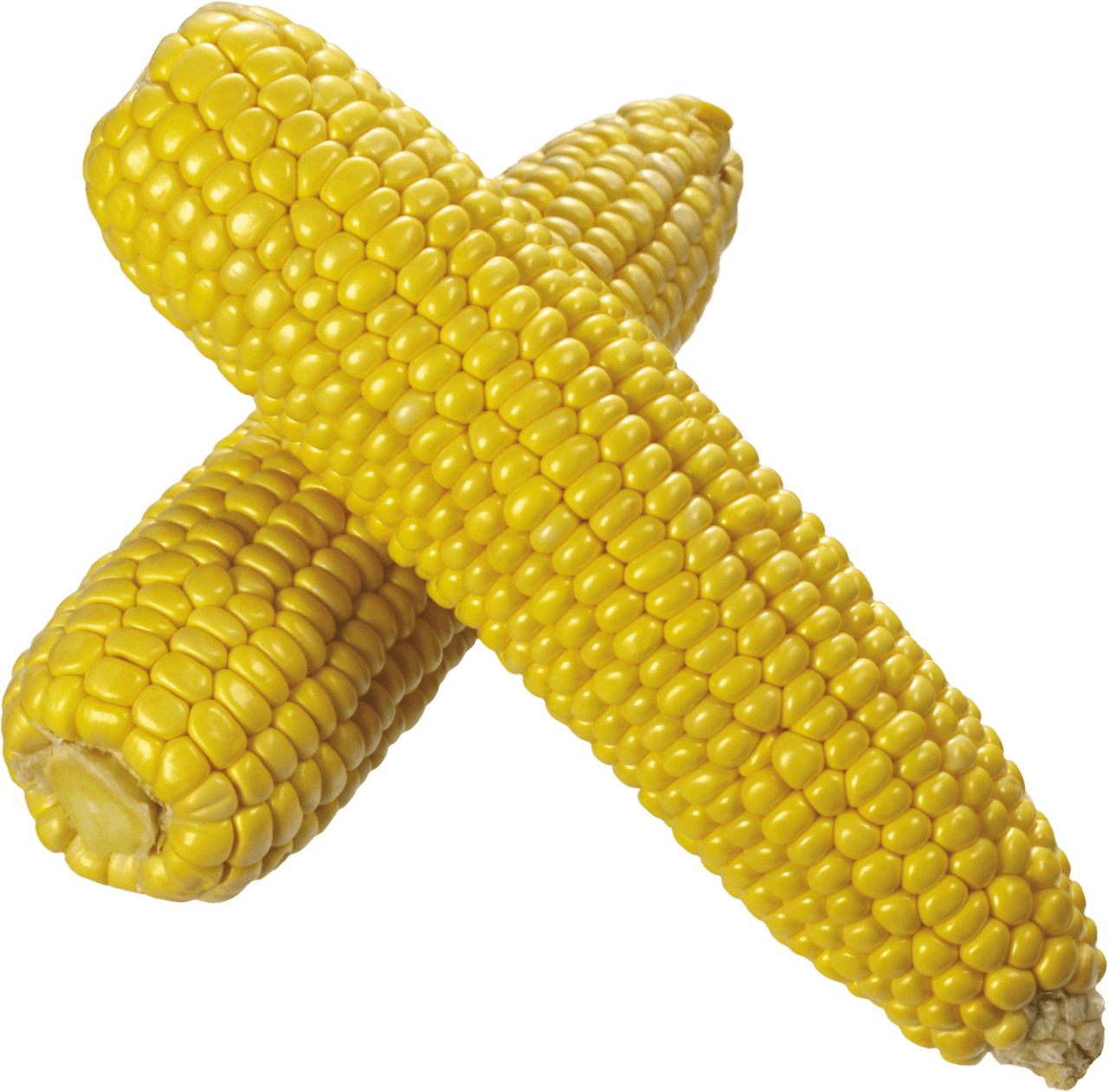 Corn image for clipart 5