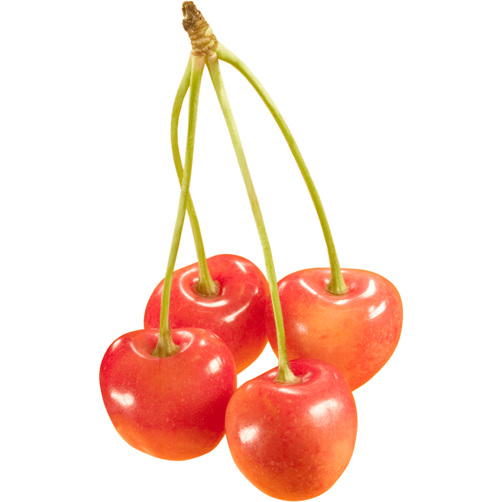 Ra ier cherry images hd photo clipart