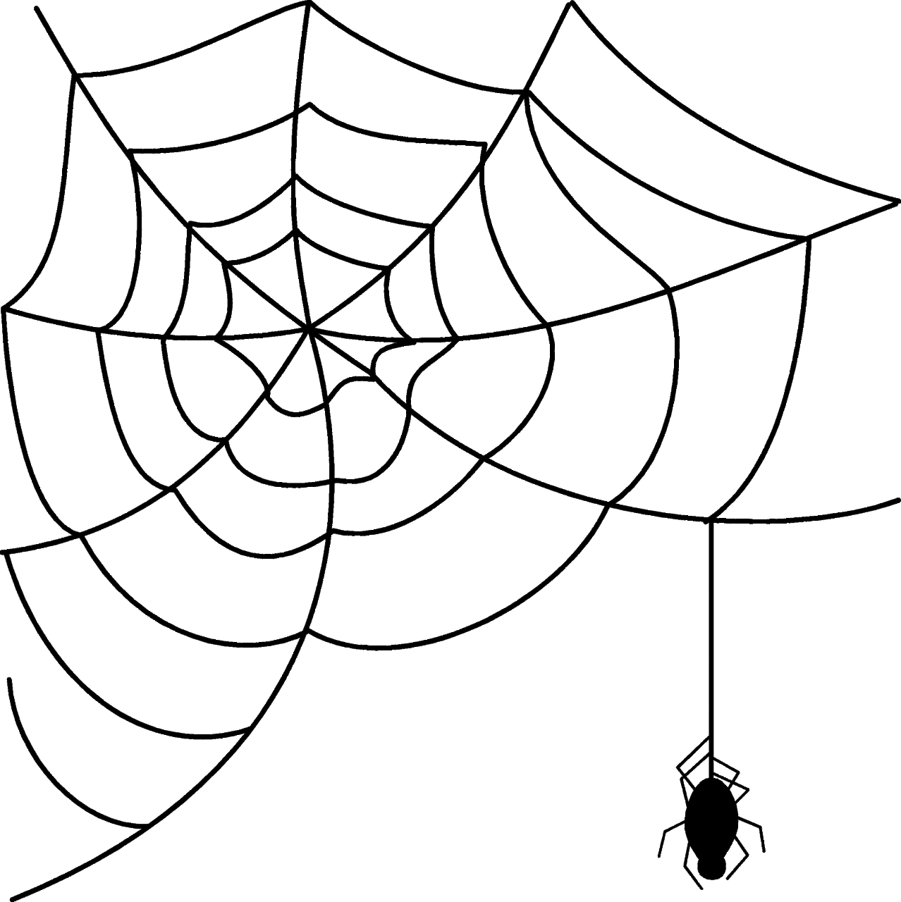 Spider clipart images 2