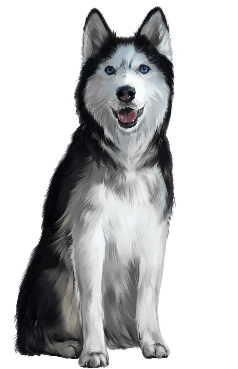 Wolf pin page clipart background 2